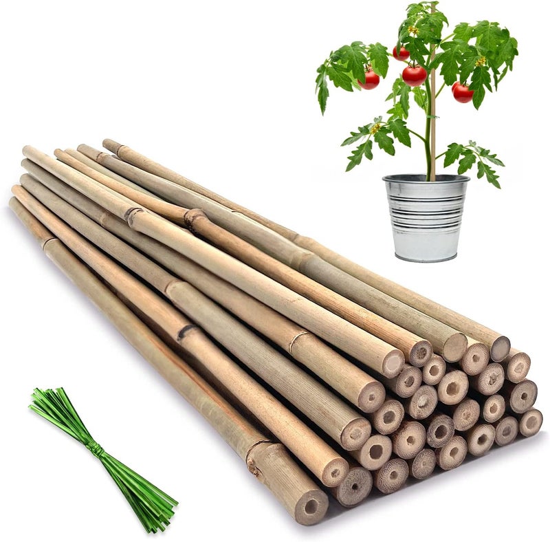 BOVITRO Plant Stakes,16 Inches Natural Garden Bamboo Sticks, 20Pcs Plant Support Stakes for Tomatoes,Beans,Vegetable and Potted Plants - Image 1